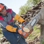 Actividades auxiliares en conservación y mejora de montes