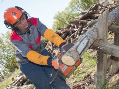 Actividades auxiliares en conservación y mejora de montes